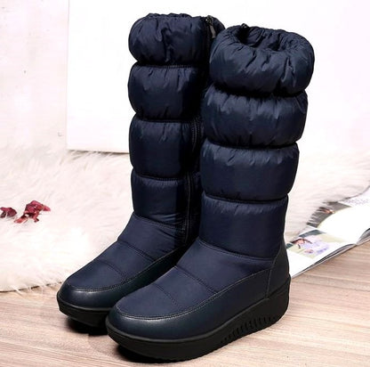d9fba8c0e26b6c7b787da181179c6823