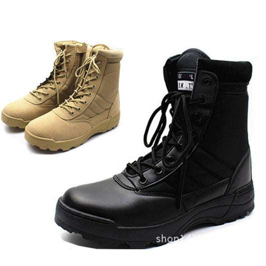 c6d3be07ea2501e8d9141a37f9a40b87
