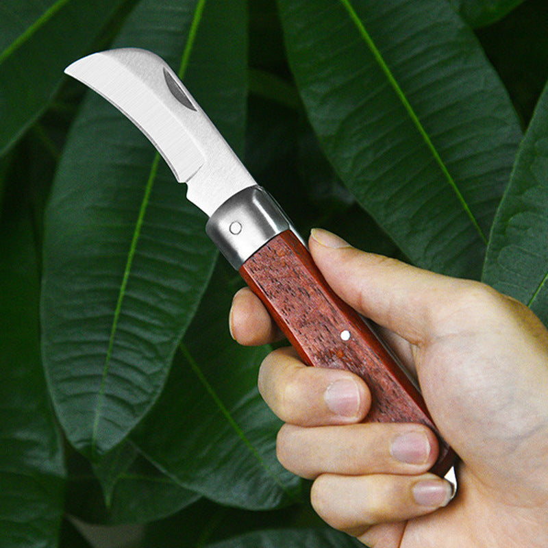 bafefb7841f8368163e4d1edc1f83b59