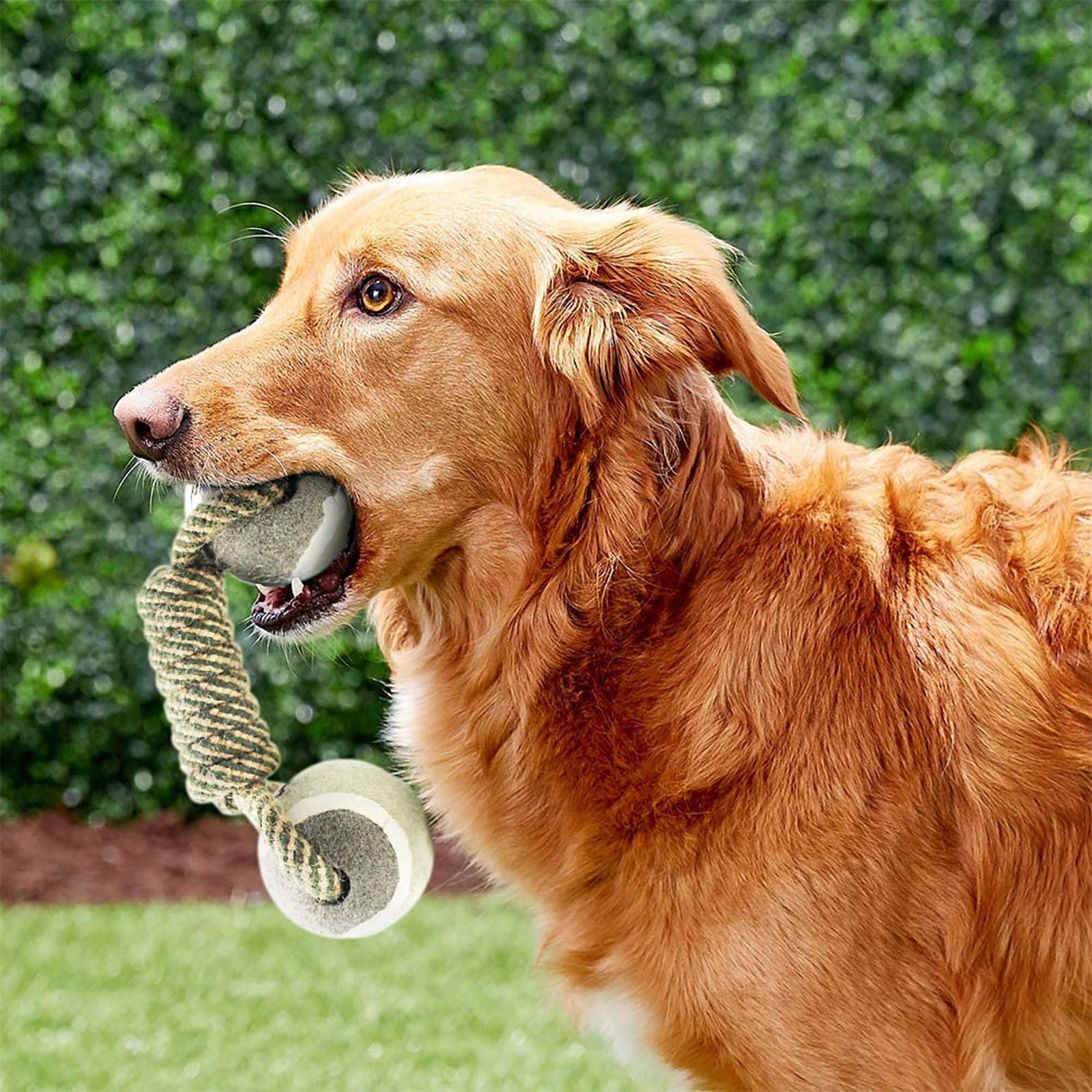 3801982aba6deab15a4e6c99e8a5872c