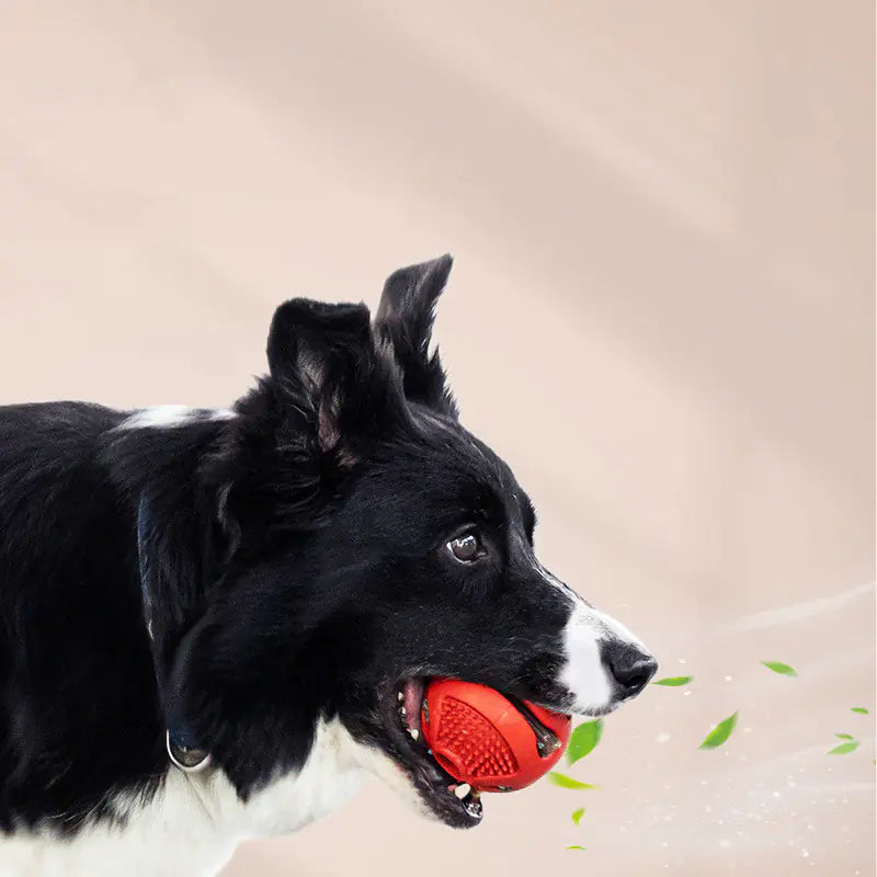 Elastic Solid Ball for Food Alone Card