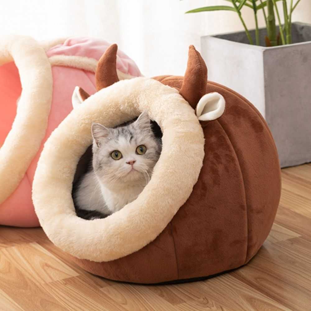 2a01f136223cdba7387bfcec80ef5479
